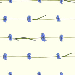 Seamless pattern with blue cornflowers
