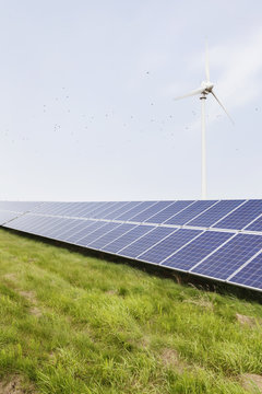 Solar panels and wind engine