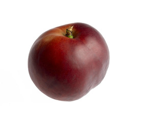 nectarine peach on white background