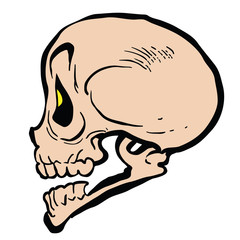skull4