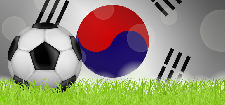 Fußballwiese - Flagge von Südkorea