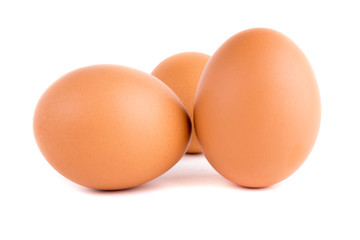 eggs on white background