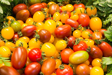 colorful tomatoes, red tomatoes, yellow tomatoes, red and yellow tomatoes. tomatoes background. red and yellow tomatoes background.