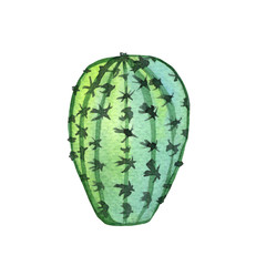 Naklejka premium Watercolor hand painted green cactus in green and emerald colors