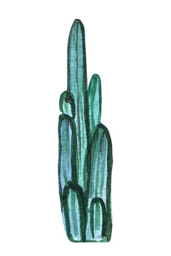 Watercolor hand painted green cactus in green and emerald colors