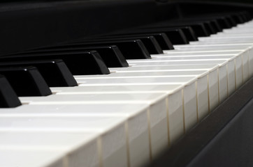 Piano and electric piano keyboard