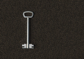 Metal key on a carpet background