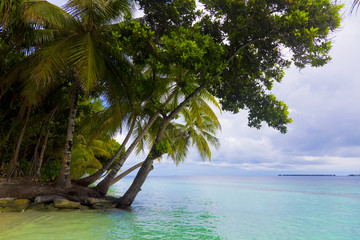 Schöner Maledivenstrand mit Palmen