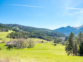 Mountain and forest in countryside