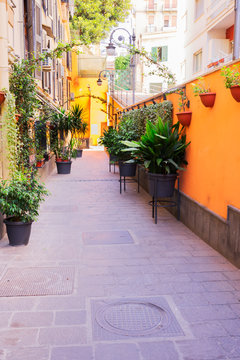 Street Of Naples, Italy