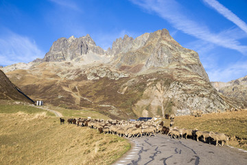 Fototapeta na wymiar Col du Glandon (1924 m), Aiguilles de l'Argentière, à gauche l'Aiguille Michel (2913 m), Savoie