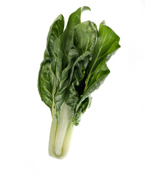 chards on white background