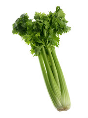 isolated green celery