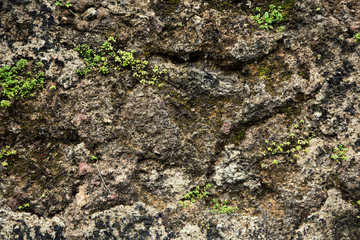 stone or rock background and texture, natural stone. Stone background/texture (color toned image)