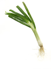 spring onion on white background © riccardo