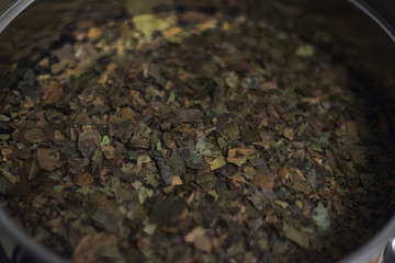 Ayahuasca Guayusa tea leaves from amazon rainforest, preparation brewing in a kettle, close-up