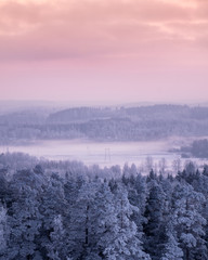 Winter landscape with frosty trees and foggy mood at evening light in Finland
