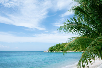 Plakat View of nice tropical beach with some palms