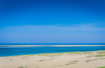 Obraz premium Wild New Jersey Coastline