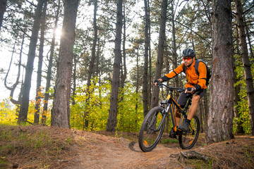 Fototapeta na wymiar Cyclist in Orange Riding the Mountain Bike on the Trail in the Beautiful Pine Forest Lit by Bright Sun.