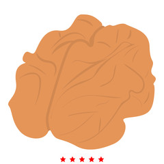 Walnut icon Illustration color fill style