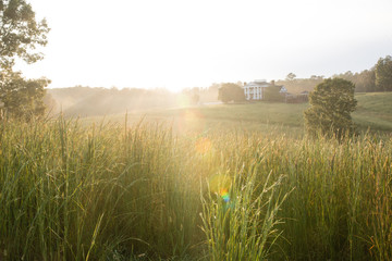 Colorful Field With Plantation House