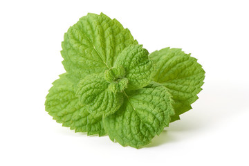 Fresh mint leaves, close-up, isolated on white background.