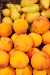 Yellow  nectarines in the market.  Nectarine harvest.  Food background