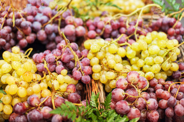 Grapes background. Organic Ripe red and white grape   at  market. Harvesting concept. Grape in a local market