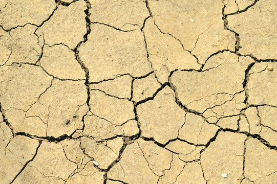 Трещины на сухой земле в жаркое лето.