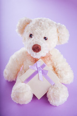 Teddy bear with a gift box for Valentines day on purple background