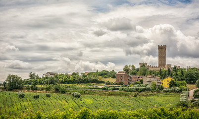 rural summer landscape with vineyards and olive fields near Porto Recanati in the Marche region,...