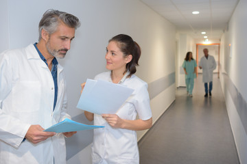 Fototapeta premium Medics conversing in hospital corridor