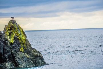 Exploring the Olympic Peninsula and Olympic National Park in WA