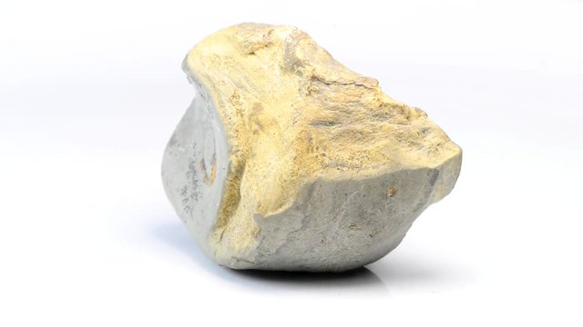 Lias Bilder Durchsuchen 319 Archivfotos, und Videos