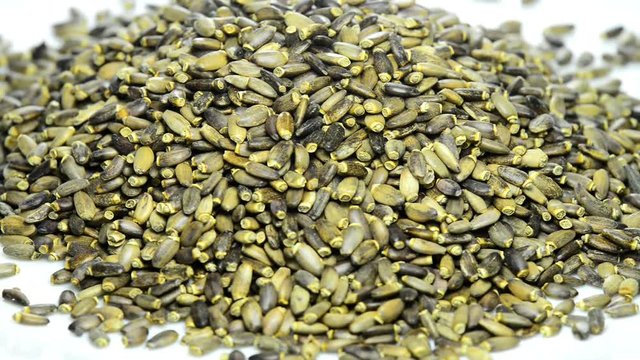 Mariendistel, Samen, Heilmittel gegen Leberkrankheiten