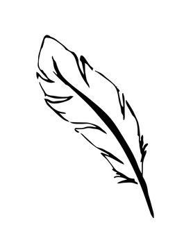 black and white silhouette of bird feather