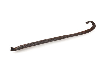 vanilla bean isolated