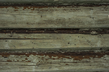 Grunge background of shabby boards painted in green