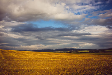 Fototapeta premium a field with a beautiful sky, a hunting place, and birds