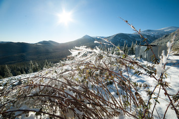Fototapeta premium Beautiful winter mountain landscape in national park
