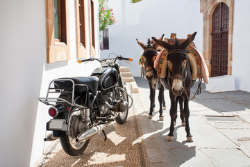 Greek donkeys - famous. tourist symbol of the  town of Lindos, Rhodes Island. Greece - obrazy, fototapety, plakaty