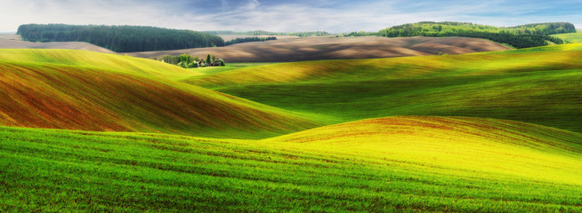 hilly field. spring morning. a beautiful sunrise in the field