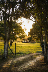 caminho estrada