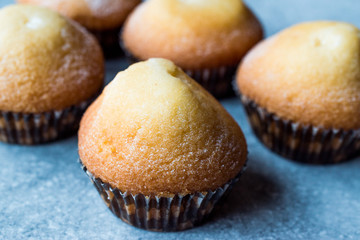 Lemon Muffins with Powdered Sugar