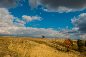 Obraz premium clouds in the steppe. Dry grass and hill. Rural landscape.