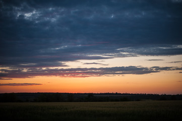 sky and clouds in a meadow at sunset. Rural landscape. Sunny day.