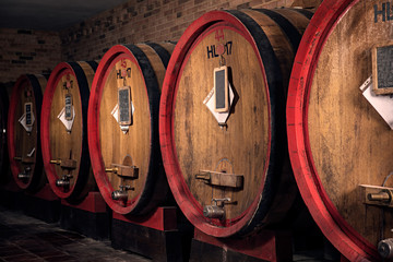 Interior of italian winery with oak barrel for aging wine - obrazy, fototapety, plakaty
