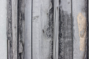 Old textural boards in paint. Background