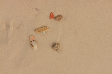 Pebbles on the sand near sea. Sea stones on sand. Summer beach background. View from above